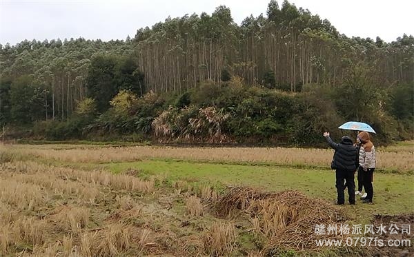 宜兰县陈老师带着爱徒寻龙点穴